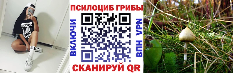 продажа наркотиков  Туринск  KRAKEN маркетплейс  Псилоцибиновые грибы ЛСД 