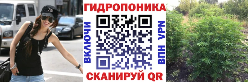 МАРИХУАНА ГИДРОПОН  Туринск 